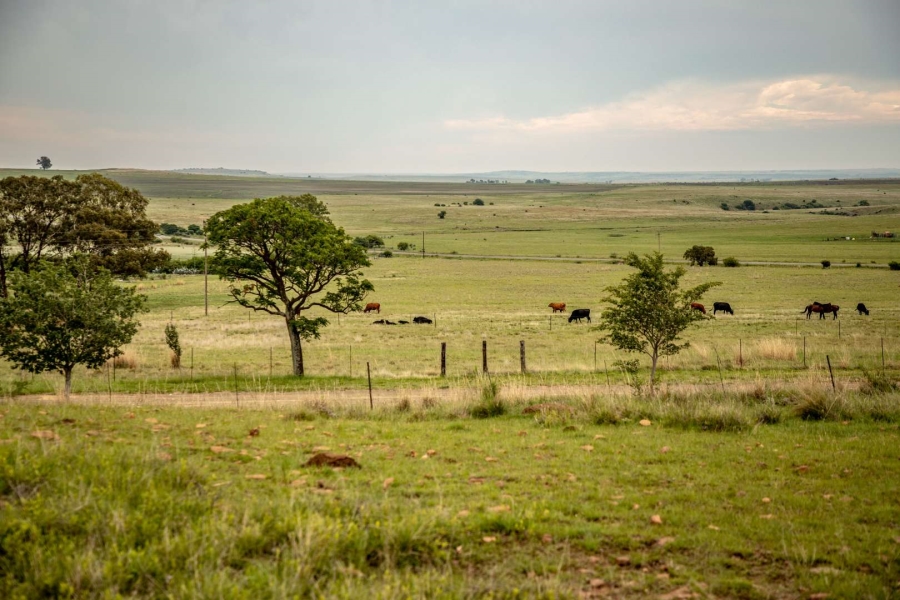 18 Bedroom Property for Sale in Heilbron Free State